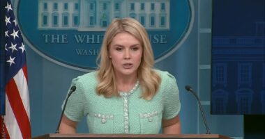 Tense moment Karoline Leavitt calls out 'woman in the purple' for making a face during White House press conference