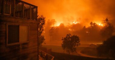 Terrifying study predicts exactly how many people will DIE in fires caused by climate change by 2100