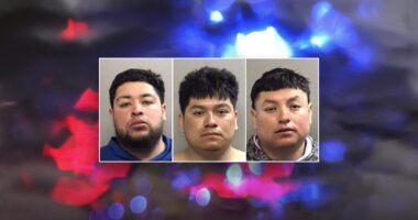 Three illegal immigrants charged after fiery Texas crash leaves one dead