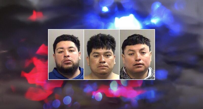 Three illegal immigrants charged after fiery Texas crash leaves one dead