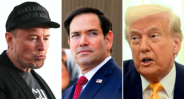 Trump Chooses A Side In Musk And Rubio’s Reported Cabinet Meeting Clash