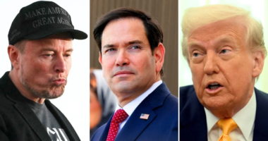 Trump Chooses A Side In Musk And Rubio’s Reported Cabinet Meeting Clash