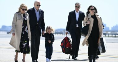 Trump ENDS Secret Service protection for Joe Biden’s kids Hunter & Ashley slamming ‘ridiculous’ use of taxpayer cash