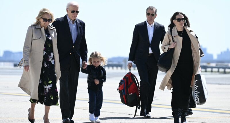 Trump ENDS Secret Service protection for Joe Biden’s kids Hunter & Ashley slamming ‘ridiculous’ use of taxpayer cash