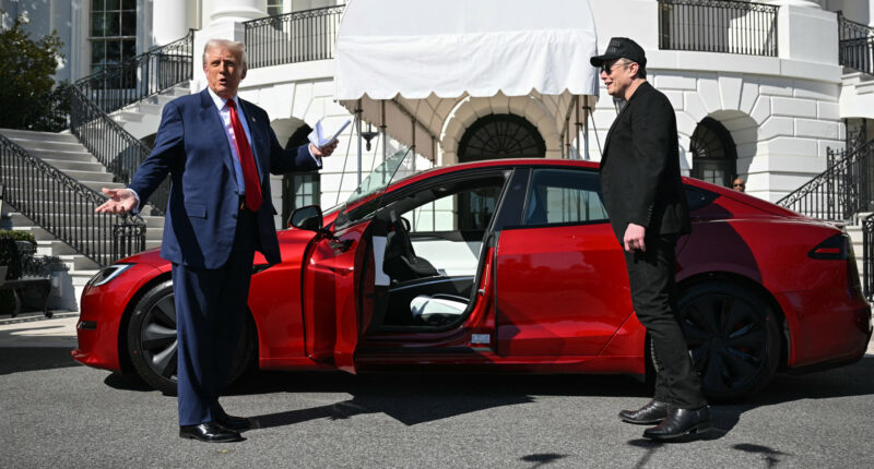 Trump buys Tesla at White House & brands dealership attacks ‘domestic terrorism’ after spate of violence & Musk protests