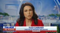 Tulsi Gabbard drops Ukraine bombshell after disastrous Trump and Zelensky White House meeting