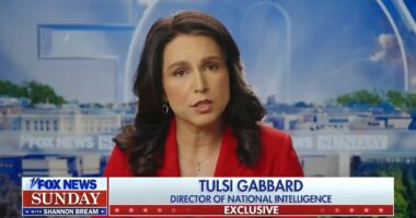 Tulsi Gabbard drops Ukraine bombshell after disastrous Trump and Zelensky White House meeting