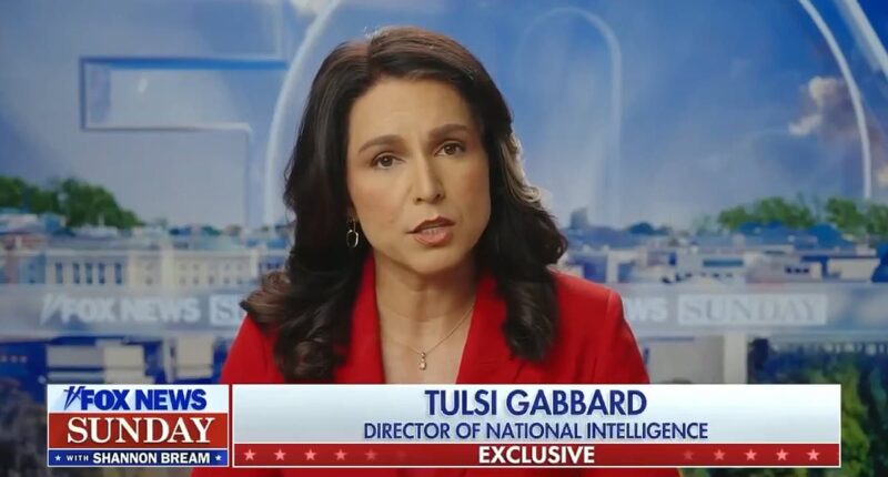 Tulsi Gabbard drops Ukraine bombshell after disastrous Trump and Zelensky White House meeting