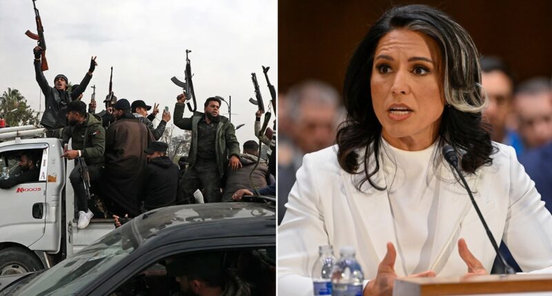 Tulsi Gabbard's warning to Senate on Syria proves prophetic as Al Qaeda-linked regime slaughters minorities