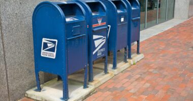 USPS blasted for its desperate last ditch attempt to fix weeks long delays as workers say it will ‘make more problems’