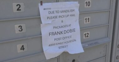 USPS stops delivering mail to entire neighborhood for month as customers blast ‘we need answers!’ & find sign on mailbox