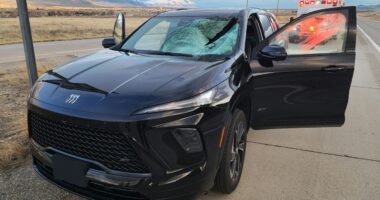 Utah driver injured after smashing into turkey on the interstate, sending it through the windshield