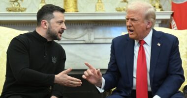 Volodymyr Zelensky trolls Donald Trump and JD Vance as Ukrainian president breaks silence on explosive Oval Office spat