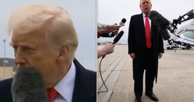 Watch: Trump is HIT in face by reporter... but he 'handles it like a pro'