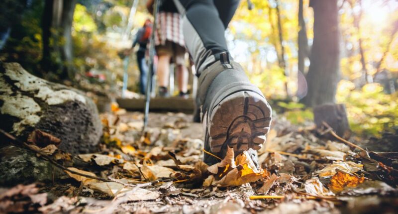 Western Reserve Land Conservancy donates 87 acres for new Summit Metro Park in Copley