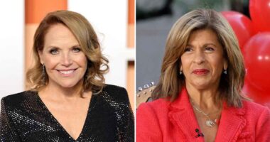 What Katie Couric Has 'Texted' Hoda Kotb About Since Her Today Show Exit