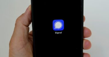 What is Signal, the chat app used by US officials to share war plans?