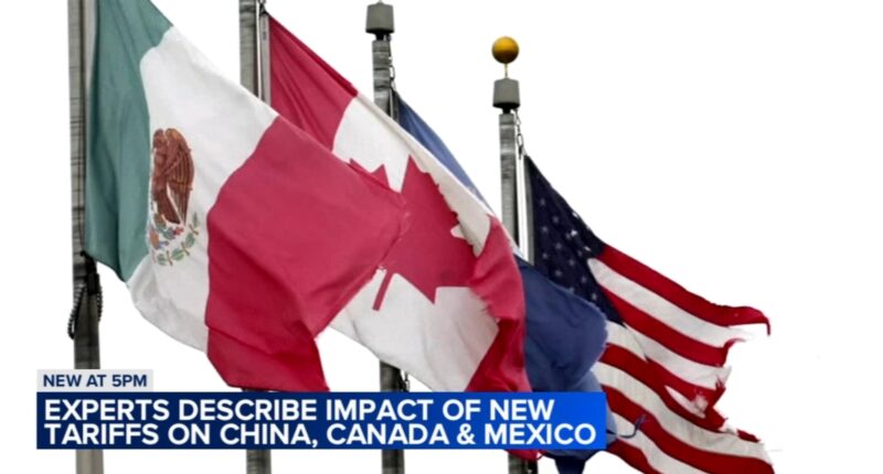 Why did Trump impose tariffs on Canada, Mexico and China? Experts discuss reasoning behind tariffs expected to increase prices