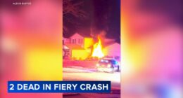 Woodridge crash: 2 killed after Tesla hits home, bursts into flames in Woodridge