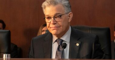 Yes, That Is Former Real Life Senator Al Franken Playing A Fictional Senator In Netflix’s ‘The Residence’ 