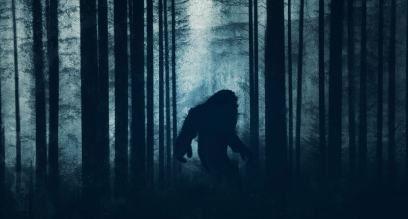 ‘Looked like King Kong,’ hunter reveals after eerie ‘Bigfoot encounter’ where he ran for his life in pitch black woods