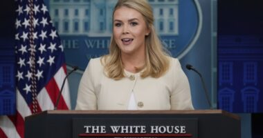 'Deny Reality': Karoline Leavitt Confirms White House Policy For Pronoun Displaying Journalists