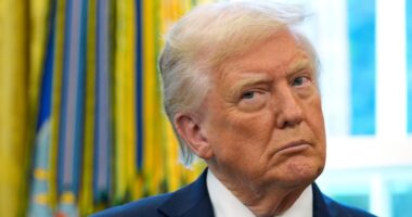 12 states sue Trump admin over 'unlawful' tariffs