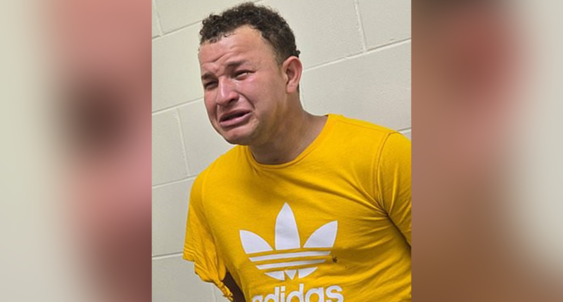 5 alleged Tren de Aragua gang members charged in retail thefts, including 1 seen sobbing in police interview