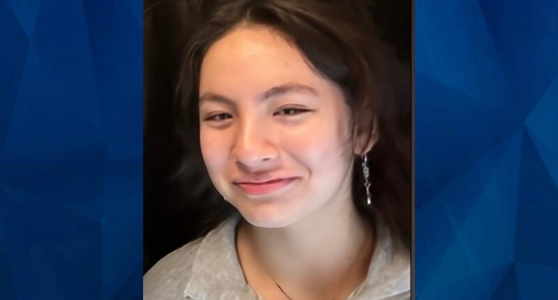Aubrey Wu: 15-Year-Old Girl Found Safe 3 Months After Disappearance; Investigation Underway