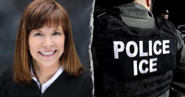 Blue state judge attempts to stop Border Patrol from arresting suspected illegal immigrants without warrant