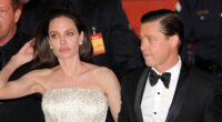 Brad Pitt Reportedly 'Fears' Angelina Jolie Has 'Alienated' Their Six Kids From Him After Divorce