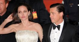 Brad Pitt Reportedly 'Fears' Angelina Jolie Has 'Alienated' Their Six Kids From Him After Divorce