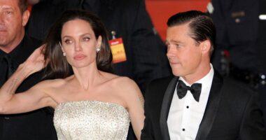 Brad Pitt Reportedly 'Fears' Angelina Jolie Has 'Alienated' Their Six Kids From Him After Divorce