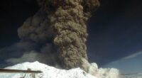 Chaos in US as residents frantically prepare for massive volcano eruption... with even pets given gas masks
