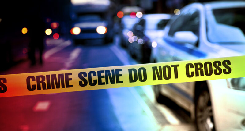 Chicago shooting: Armontye Alexander ID'd as man shot, killed at Sanford Foods grocery store on Laramie, county officials say