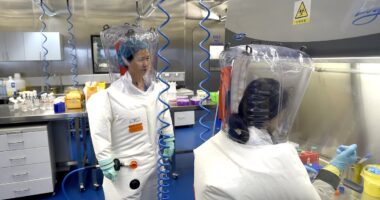 China makes stunning claim about Covid's origins after lab leak furor