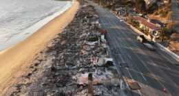 Democrat-run Los Angeles failing wildfire victims’ rebuilding plans months after Trump visit: GOP rep