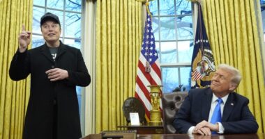 Donald Trump: Our Most Martha Stewart President