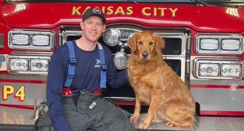 Firefighter, 29, dies after being ‘stabbed in heart in back of ambulance by patient who was out on bail for biting cop’