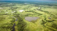 Simon stayed in Brazil's Pantanal, the world's biggest wetland area, measuring 81,000 square miles