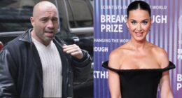 Joe Rogan Mocks 'Guru' Katy Perry Over Blue Origin Spaceflight As Singer Continues To Face Harsh Criticism