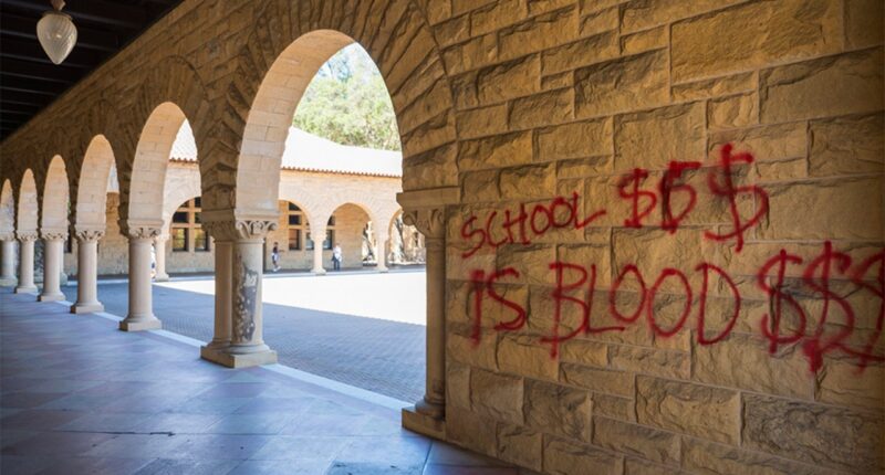 Masked anti-Israel Stanford protesters charged in destructive 2024 campus building takeover