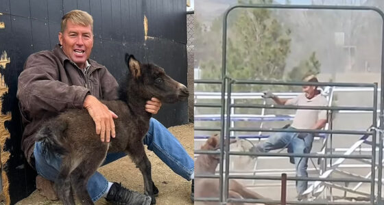 Missing Veterinarian Found Dead in Lake Mead Weeks After He’s Filmed Beating Horse