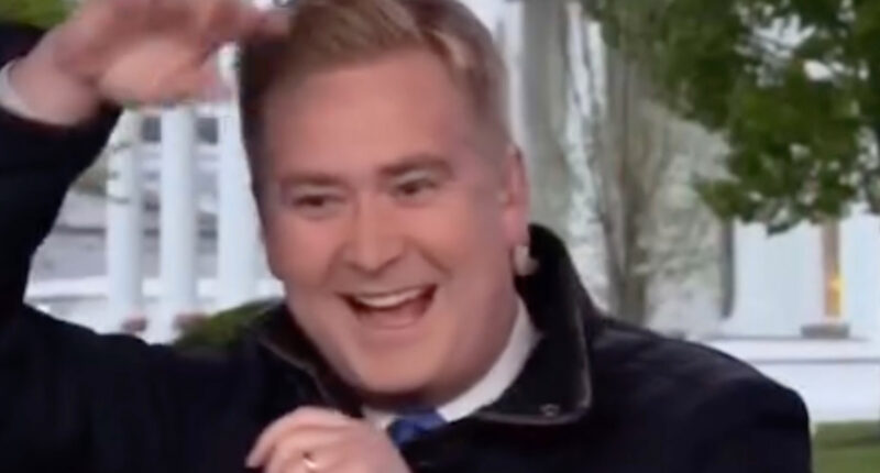 Moment bird lands on Fox News reporter’s head in middle of live TV report as he yells ‘what’s going on!’