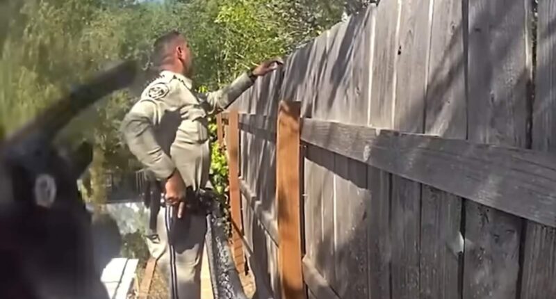 New bodycam reveals the shocking moment Weezer bassist's wife was shot by cops in her LA backyard