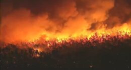Ocean County NJ Wildfire: Fire in New Jersey Pine Barrens expected to grow before it's contained, officials say