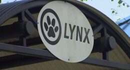 Seminole County looks at cutting LYNX costs, adding rideshare options 