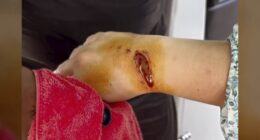 Terrifying moment swimmer, 30, is mauled by SHARK as she filmed her snorkelling trip in the Maldives