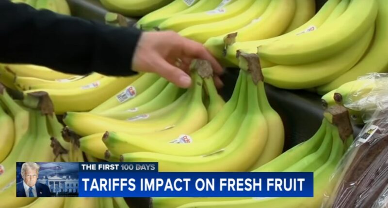 Trump at 100 Days: The impact of tariffs on the cost of fresh fruit