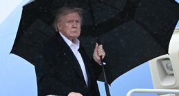 Trump backs author who confronted Joe Rogan on his own podcast